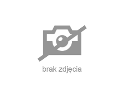 BMW 530 - zobacz ofertę